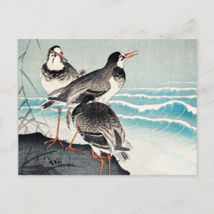 Cartão Postal Narcejas na Costa, arte fina de Ohara Koson