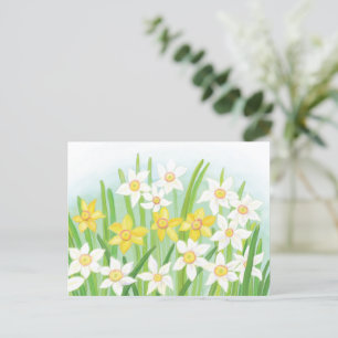 Cartão Postal Narcisos da Primavera 
