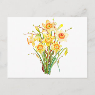 Cartão Postal Narcisos de flores da primavera em aquarela