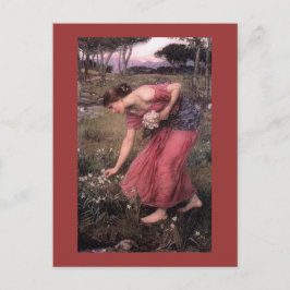 Cartão Postal Narcissus Escolhendo Flores no Prado