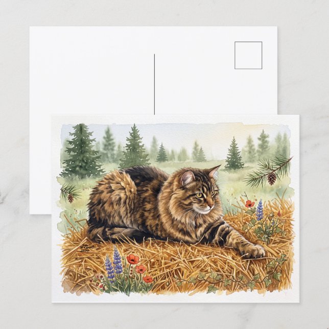 Cartão Postal Nari da Floresta (Frente/Verso)