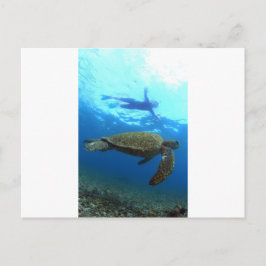 Cartão Postal Narração com tartaruga marinha Ilhas Galápagos