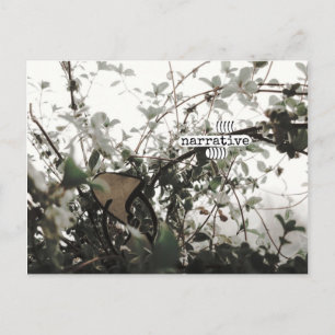 Cartão Postal ((((narrativa)))