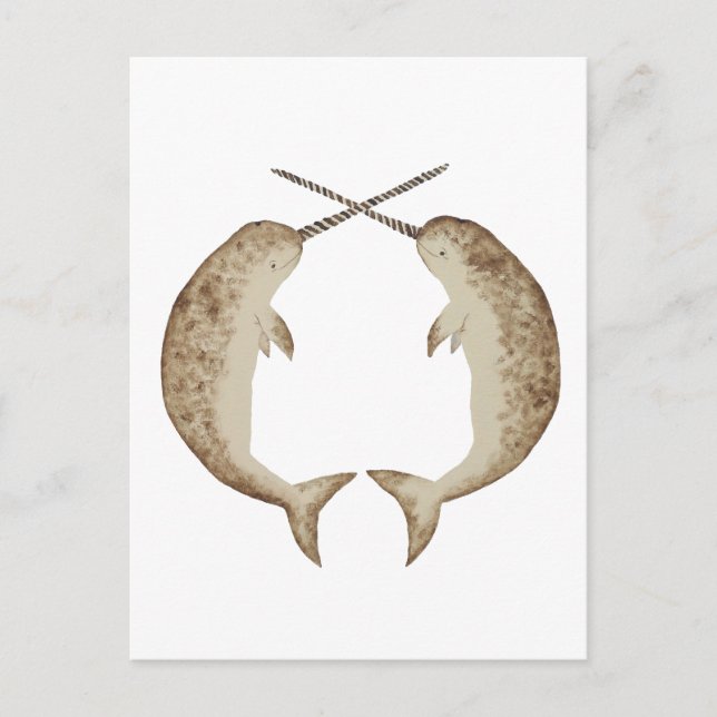 Cartão Postal Narwhal (Frente)