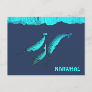 Cartão Postal Narwhal Sob O Gelo