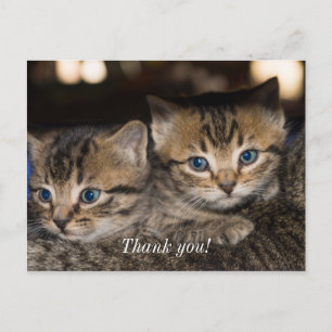 Cartão Postal Nas costas da mamãe Obrigado Cartão-postal