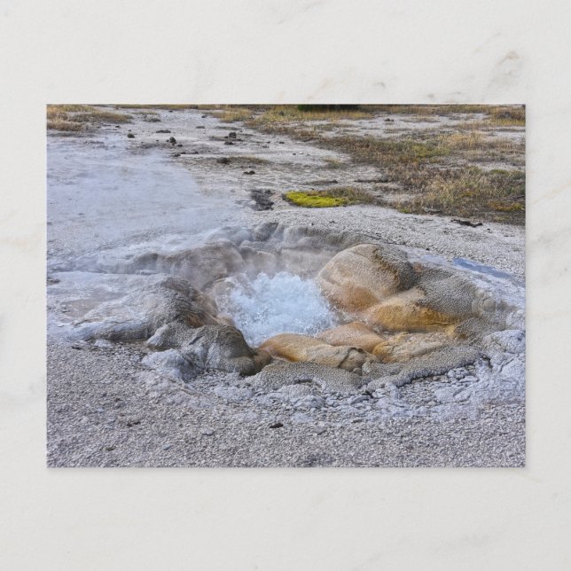 Cartão Postal Nascente Shell no Parque Nacional de Yellowstone,  (Frente)