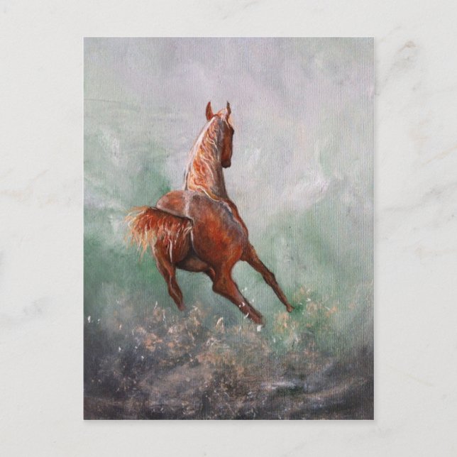 Cartão Postal Nascer à Corrida de Barrel (Frente)