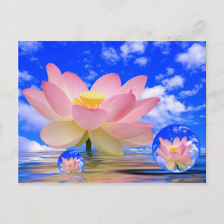 Cartão Postal Nascer de Flor de Lotus na Água