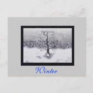 Cartão Postal Nascer de inverno