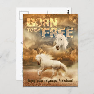 Cartão Postal Nascer de ser livre, Beleza da Natureza: Cavalo Br