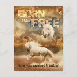 Cartão Postal Nascer de ser livre, Beleza da Natureza: Cavalo Br