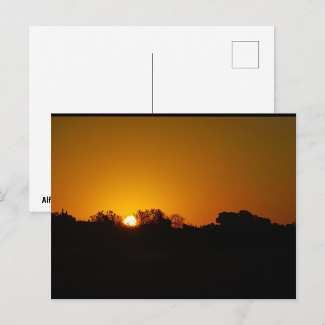 Cartão Postal Nascer do Sol Dourado (Frente/Verso)