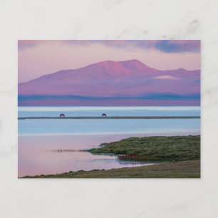 Cartão Postal Nascer do sol no lago Song Kul