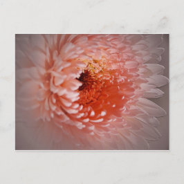 Cartão Postal Nascer para sucesso