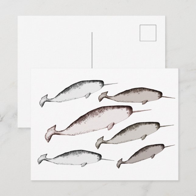 Cartão Postal Natação de Narbalas - Presente de Ilustração de Ba (Frente/Verso)