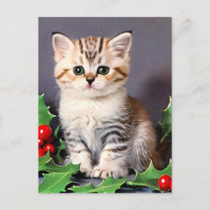 Cartão Postal Natais vintages Kitten e Holly