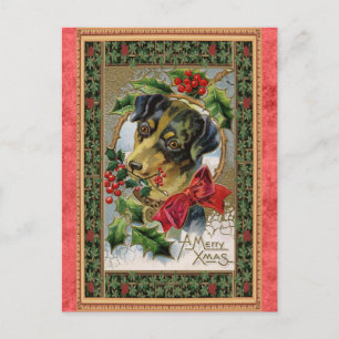 Cartão Postal Natal Antigo Fofo Cachorro Feliz Natal
