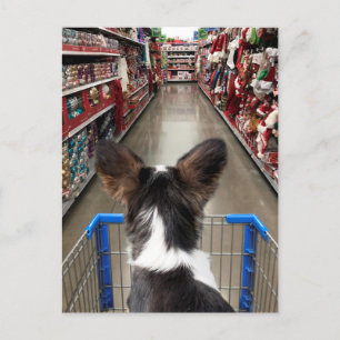 Cartão Postal Natal Comprando Chihuahua