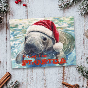Cartão Postal Natal de Aquarela do Peixe-Boi da Flórida