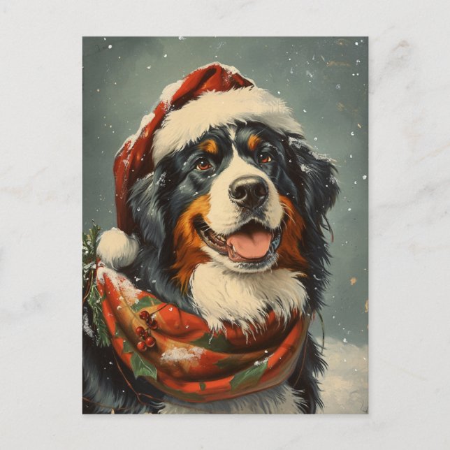 Cartão Postal Natal de cão da montanha Bernese (Frente)