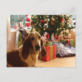 Cartão Postal Natal do cesto dos bastidores