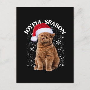 Cartão Postal Natal Feliz Chapéu de Papai Noel Gato Natal
