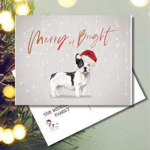 Cartão Postal Natal Feriado - Cabeça de Feliz de Cachorro Franc