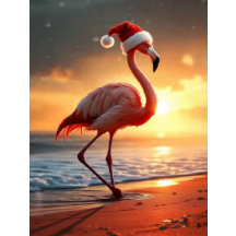 Natal Flamingo