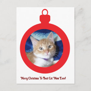 Cartão Postal Natal, Melhor Mãe de Gato de Todos os Tempos ,
