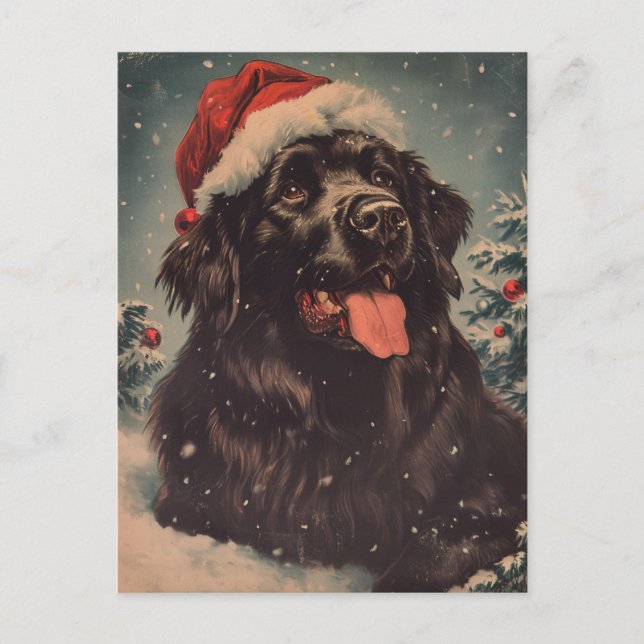 Cartão Postal Natal para cães da Terra Nova (Frente)