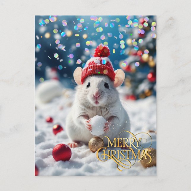 Cartão Postal Natal. Parabéns.  (Frente)