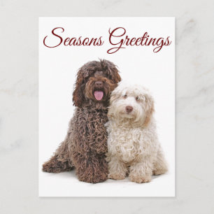 Cartão Postal Natal Seasons saúda os amigos Labradoodle