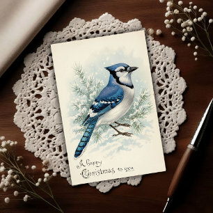 Cartão Postal Natal Vintage 1908 de Gaio Azul