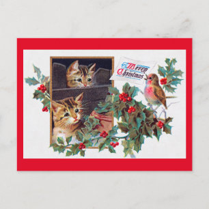 Cartão Postal Natal, Xmas Kitten e Little Bird