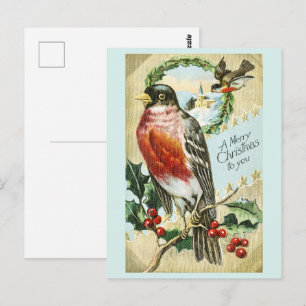 Cartão Postal Natalina de 1908 Robin no ramo de azevinho