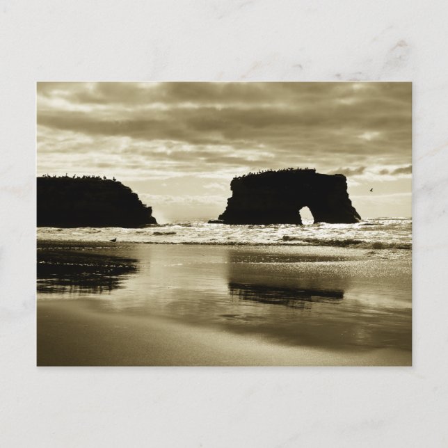 Cartão Postal Natural Bridges State Beach (Frente)