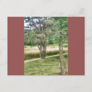 Cartão Postal Nature Em Beleza 2