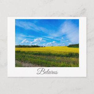 Cartão Postal Nature Landscape Canola Field Rural Belarus