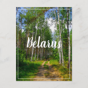Cartão Postal Nature Landscape Forest Birch Bielorrússia