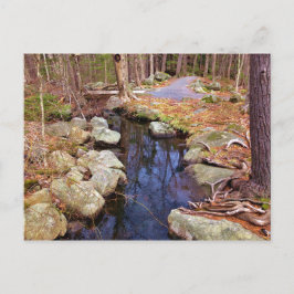 Cartão Postal Nature Stream