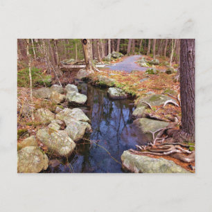 Cartão Postal Nature Stream