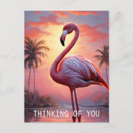 Cartão Postal Nature Sunset Pink Flamingo Vintage