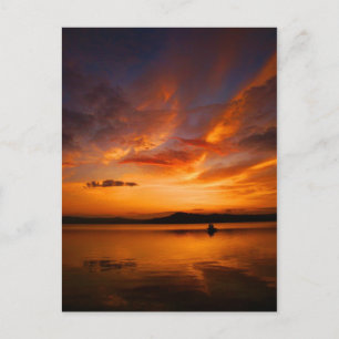 Cartão Postal Natures Palette Postcard