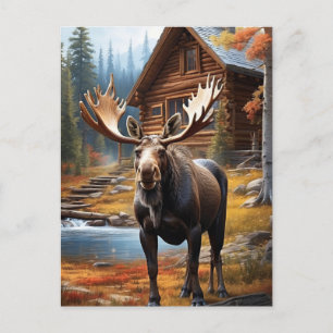 Cartão Postal *~* Natureza Cabin STREAM AP49 Floresta MOOSE