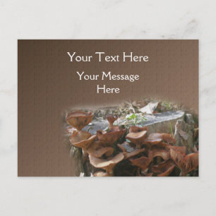 Cartão Postal Natureza da aldeia Mushroom