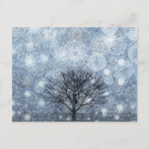 Cartão Postal Natureza da sobrevivência