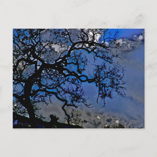 Cartão Postal Natureza é antiga (Frente)