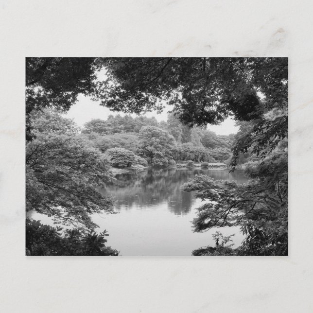 Cartão Postal Natureza e lago preto e branco, legal, originais (Frente)