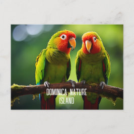 CARTÃO POSTAL NATUREZA ILHA DE PARROGAS DOMINICA